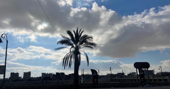 طقس ربيعى يسيطر على شمال سيناء.. وشبورة مائية خفيفة فى الصباح الباكر