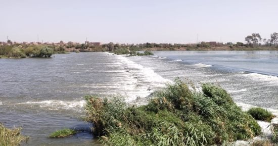 نزهة وسط جمال الطبيعة ونهر النيل بالقناطر الخيرية.. 11 حديقة تستقبل الأسر والمواطنين للاحتفال بالعيد.. أسعار تذاكر تبدأ من 10 جنيهات حتى 40 جنيها.. متحف الري تجربة تعليمية ترفيهية تجمع بين المعرفة والمرح.. صور