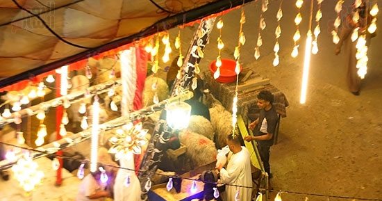 العيد فرحة.. انتظار أهالى القاهرة والجيزة لصلاة العيد وذبح الأضاحى