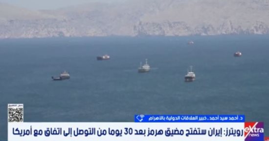 خبير: مصر تسعى لبناء جدار دولى لخفض التصعيد بالمنطقة
