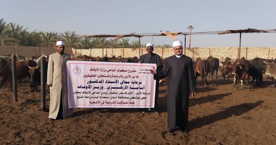 الأوقاف تتابع تجهيز الأضاحى بمجازر أبو سمبل استعدادًا لعيد الأضحى.. صور