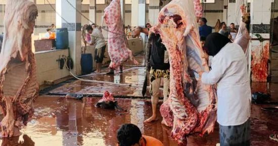 العيد الأخضر استدامة مش استهلاك.. كيف ننهي عصر تلوث الأضاحي ونحول المخلفات إلى ثروة؟.. دليل عملي لتحويل جلود الأضاحي ومنتجاتها إلى ذهب سائل وسماد عضوي يحيي الأراضي الزراعية بدلًا من تلويث الشوارع