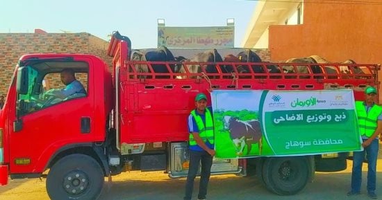 غدا عقب صلاة العيد.. ذبح 50 عجلا بلديا بمجازر سوهاج لتوزيعها على الأسر