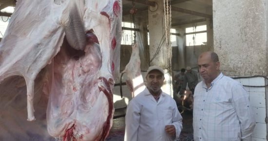 19 مجزرًا بكفر الشيخ تستعد لاستقبال الأضاحى مجانًا