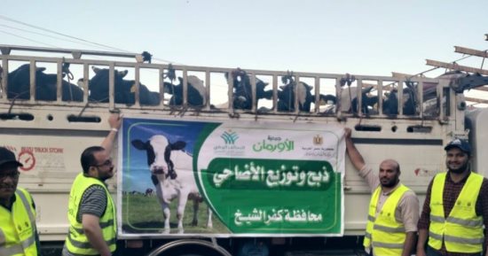 لإدخال الفرحة على الأسر الأكثر احتياجا.. البدء فى نحر 50 عجلا بمجزر الحامول غدا