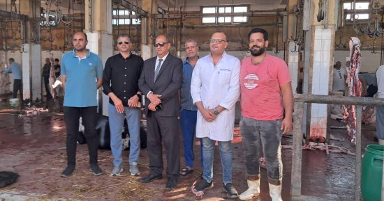 مجازر كفر الشيخ تستقبل 719 رأس ماشية فى أول أيام عيد الأضحى