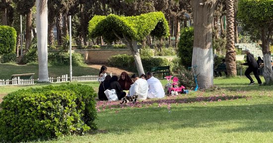 العائلات تفترش المساحات الخضراء بالحديقة الدولية احتفالًا بعيد الأضحى