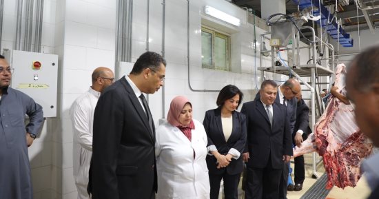 محافظ البحر الأحمر يتفقد المجزر الآلى بشمال الأحياء لمتابعة ذبح الأضاحى