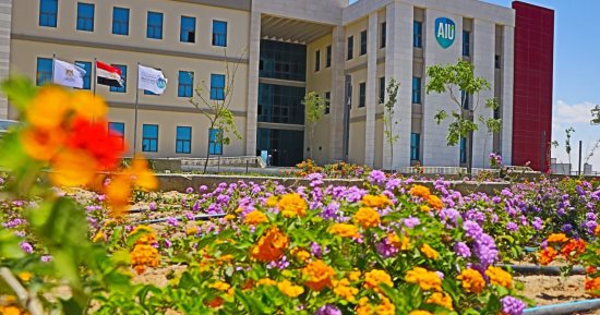 خلية نحل لصناعة الأمل.. كيف تعاونت وزارة التعليم العالى في تنمية الساحل الشمالى؟.. تدشين جامعة العلمين الدولية لجذب الاستثمارات وتأهيل الخريجين لسوق العمل.. تعزز الحركة الاقتصادية وتلبي احتياجات المجتمع المحلى