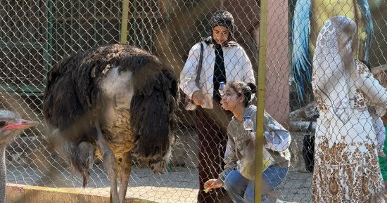 العيد فرحة.. الحديقة الدولية تستقبل زوارها لقضاء أجمل أوقات الإجازة