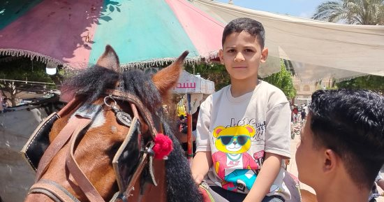 توافد كثيف للمواطنين على الحدائق والمتنزهات فى ثالث أيام العيد بدسوق.. صور