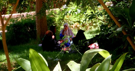 العيد فرحة.. الحديقة النباتية بأسوان وجهة الأسر فى رابع أيام عيد الأضحى