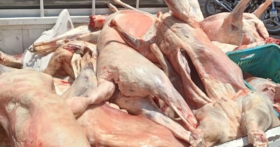 محافظة الجيزة تضبط 10 آلاف كيلو لحوم فاسدة ومذبوحة خارج المجازر بإجازة العيد