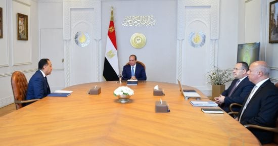 الرئيس السيسى يؤكد أهمية استمرار جهود تطوير منظومة التعليم العالى
