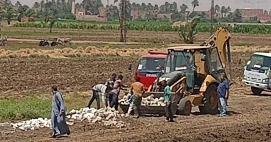 المنصة الوطنية تتلقى 302 ألف طلب تقنين لأراضى الدولة