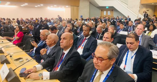 أمريكا والأرجنتين وإسرائيل يعترضون على وضعية فلسطين بـ"العمل الدولية"