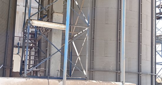 الذهب الأصفر يتدفق على صوامع كوم أمبو.. مباشر من توريد القمح فى أسوان