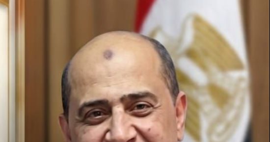 علاج وتشخيص وفحص لـ 3352 حالة وتلقيح 3038 رأس ماشية اصطناعيا بكفر الشيخ