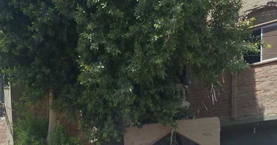بتوجيهات الدكتور أحمد الطيب.. لجنة من الأزهر تعزي أسر ضحايا حادث أبنوب