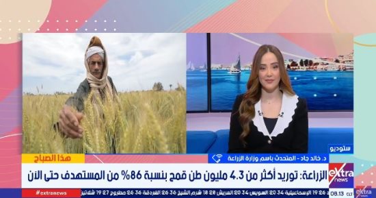 الزراعة: توريد القمح يتجاوز 4.3 مليون طن لأول مرة