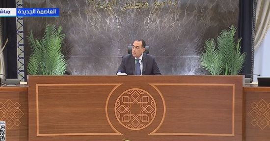 مدبولي: تنفيذ قرارات إعادة هيكلة الهيئات الاقتصادية الشهر الجارى