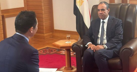 وزير الخارجية: تعاون اقتصادي بين مصر واليابان ومشروعات مشتركة بأفريقيا