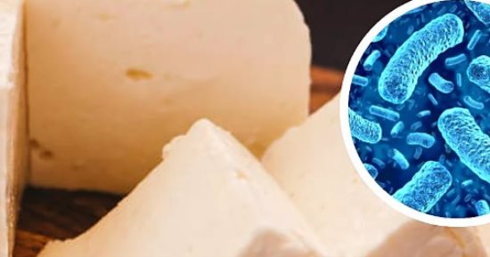 الجبن بها سم قاتل.. إسبانيا تحذر من تلوث 5 أنواع ببكتيريا الليستيريا