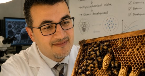أستاذ بعلوم طنطا يحقق إنجازا علميا فى التوصل لمراحل تطور نمو ملكات النحل