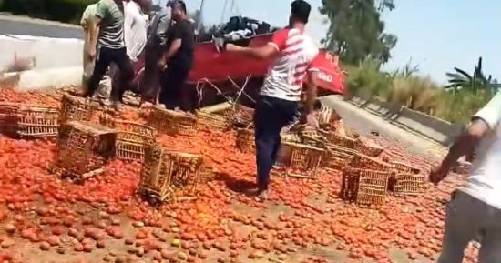 انقلاب سيارة بحمولة طماطم على طريق طنطا الإسكندرية الزراعي