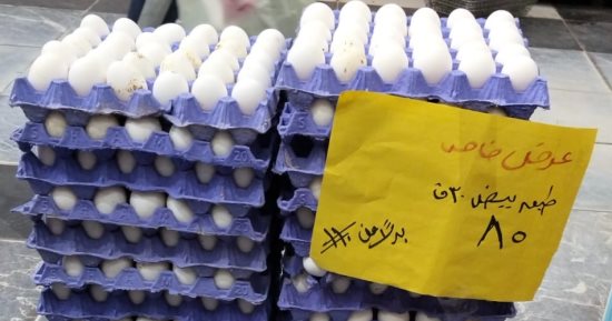 3 قرارات لوزارة التموين لتخفيف العبء على المواطنين.. تخفيض سعر البيض بالمنافذ لـ85 جنيها للطبق بدلا من 110.. استمرار صرف منحة الدعم الإضافى على البطاقات لمن تخلف عن الموعد المحدد.. والطماطم بـ 15 جنيها