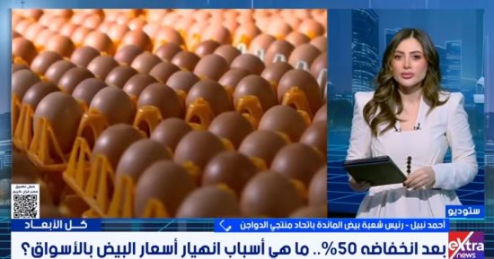شعبة البيض: الإنتاج تجاوز الاكتفاء الذاتي والأسعار تتراجع