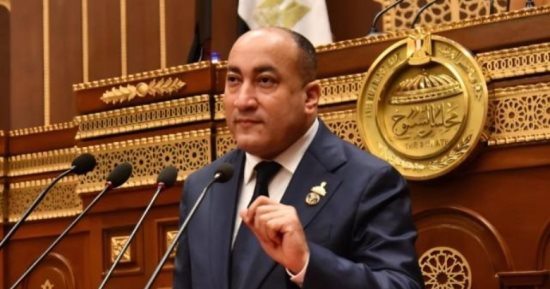 النائب عمرو رشاد: "شريحة الطفل" خطوة استراتيجية للحماية من مخاطر العالم الرقمى