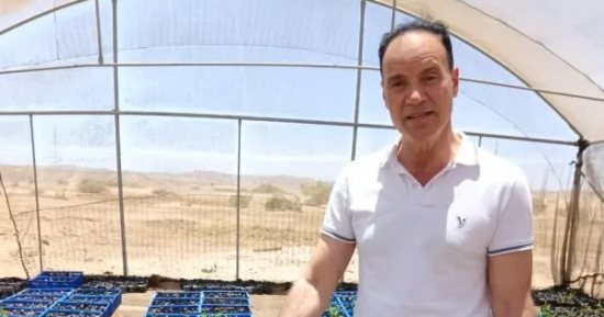 اليوم السابع من قلب غابات المانجروف احتفاء باليوم العالمى للبيئة.. ملحمة الصمود الأخضر لمواجهة غضب المناخ.. سيناريوهات الاستزراع والإكثار بسواحل البحر الأحمر للحماية من الغرق وتآكل الشواطئ وإنتاج الكربون