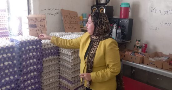ضبط أكثر من 2 طن دقيق ودهون ودواجن مجهولة المصدر بحملات تموينية في القليوبية