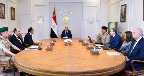 الرئيس السيسى يوجه بمواصلة تطبيق معايير الكفاءة بالجهاز الإدارى للدولة 