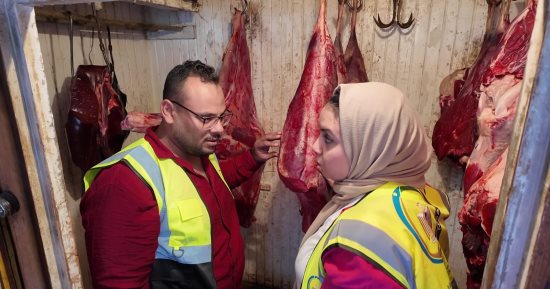 ضبط 1.5 طن أسماك غير صالحة و322 كيلو لحوم ومواد غذائية بكفر الشيخ.. صور 