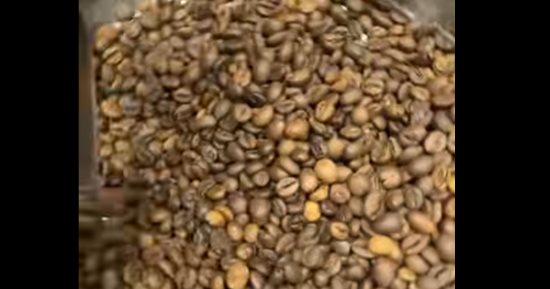 أقدم مطحن بن في مصر.. الزبائن من المشاهير  بمنطقة الغورية.. فيديو