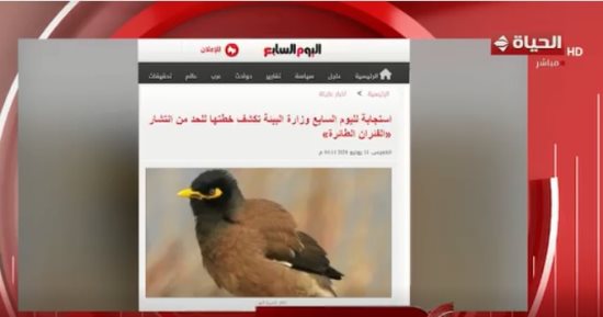 عزة مصطفى تشيد بملف طائر المينا الهندى بـ"اليوم السابع": موضوع مهم