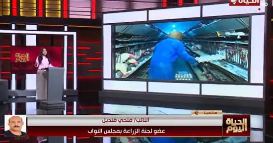 عضو بـ"زراعة النواب" يهاجم منتجي الدواجن: "المنتج يربح منذ 10 سنوات"