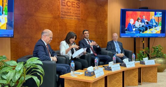 وزير الصناعة: 48 مليار دولار صادرات مصر بنهاية 2025