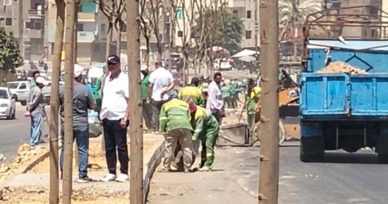​تطوير القاهرة التاريخية.. "نظافة القاهرة" تكثف أعمال التشجير والتجميل بمحور صلاح سالم 