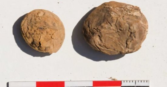 العثور على بطاطس مجففة بالتجميد عمرها 500 عام من عهد الإنكا في بيرو