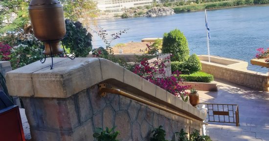 جزيرة النباتات بأسوان.. متحف طبيعى يضم 800 نوع نباتى نادر حول العالم