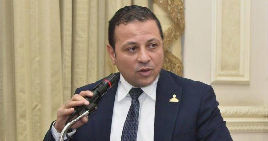 نائب: قمة مجموعة السبع تؤكد أهمية الدور المصرى فى مواجهة التحديات الدولية
