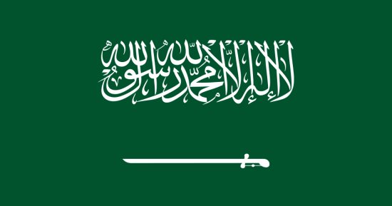 فى مؤشر لـ(الإسكوا).. السعودية الأولى إقليميًا في الخدمات الحكومية الرقمية