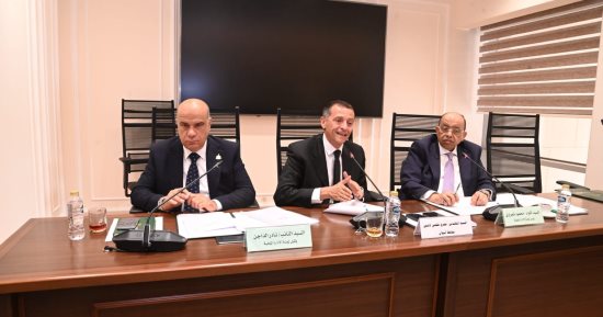 "محلية النواب" تناقش طلب إحاطة بشأن حقوق العاملين بالصناديق الخاصة بأسوان