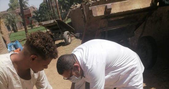 بيطرى الأقصر تطلق حملات لتحصين الكلاب الضالة بمدينة إسنا ومعبد الكرنك.. صور