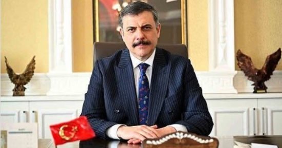 وزير الداخلية التركى: تم إيواء 82% من الكلاب على داخل الملاجئ