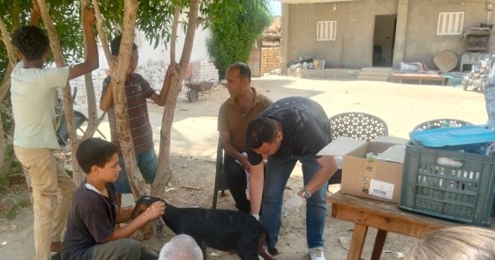 جامعة قناة السويس تنظم قافلة تنموية شاملة إلى الدفرسوار بفايد 