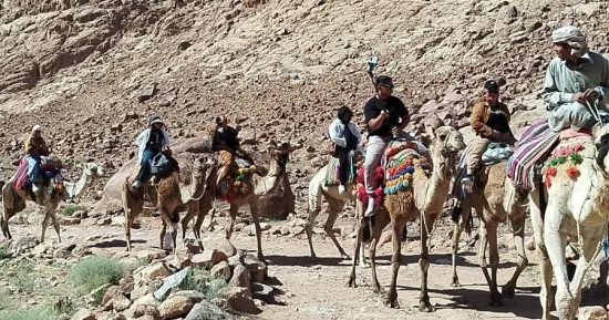 180 سائحا فى زيارة لدير سانت كاترين وجبل موسى